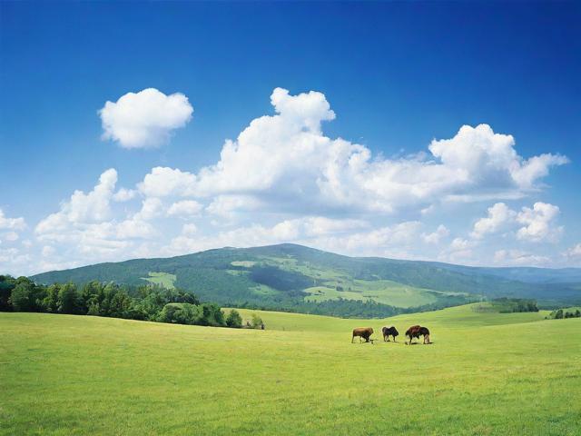 深入解析Chinaz网站排名，如何提升网站在Chinaz上的排名及策略分析