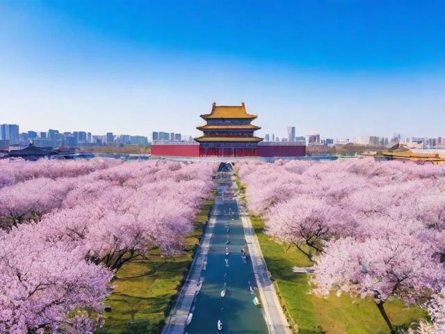 杏花岭区网站排名活动盛大开启，助力企业线上崛起！