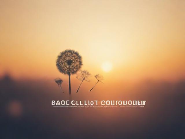 如何有效推广网站，提升网站排名，专业网站排名网站指南