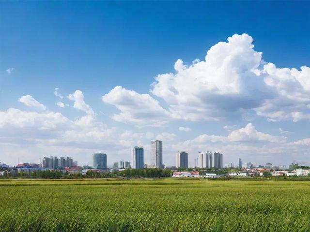 阜新网站优化排名，性价比之选，费用明细大揭秘！