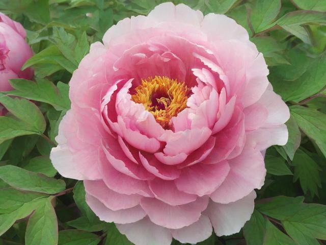 牡丹江外贸网站优化排名，助力企业抢占全球市场先机