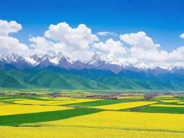 青海省网站建设排名榜揭晓，技术创新与地域特色并重，助力企业互联网发展