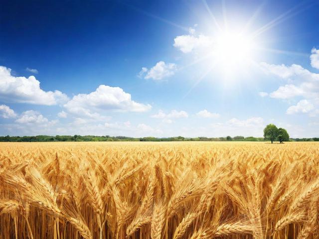 揭秘资讯网站排名，如何评估与提升网站在行业中的地位