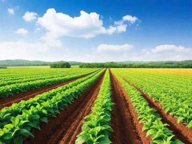 农作物种植网站排名榜，揭秘农业领域最受欢迎的信息平台