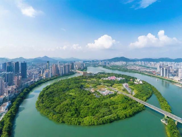 广东网站排名优化攻略，揭秘高效提升网站排名的五大策略