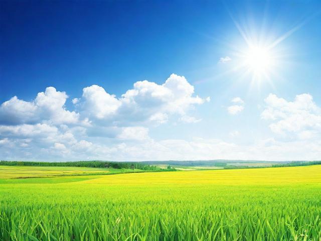 长丰网站关键词排名优化攻略，提升网站流量，抢占市场先机