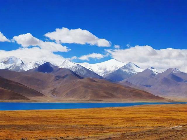 揭秘阿里网站排名，优化策略与实战技巧