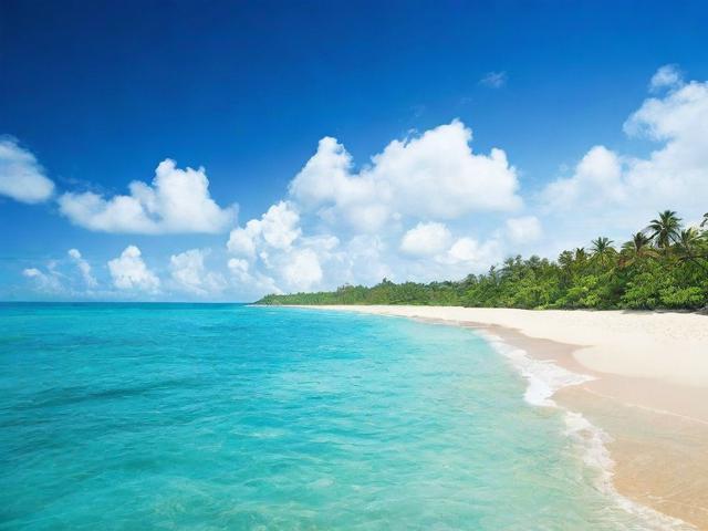 海口专业网站排名，揭秘海口地区网站优化与推广的佼佼者