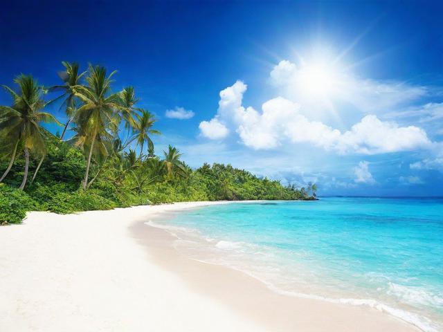 全球最受欢迎的海外线上拍卖网站排名解析