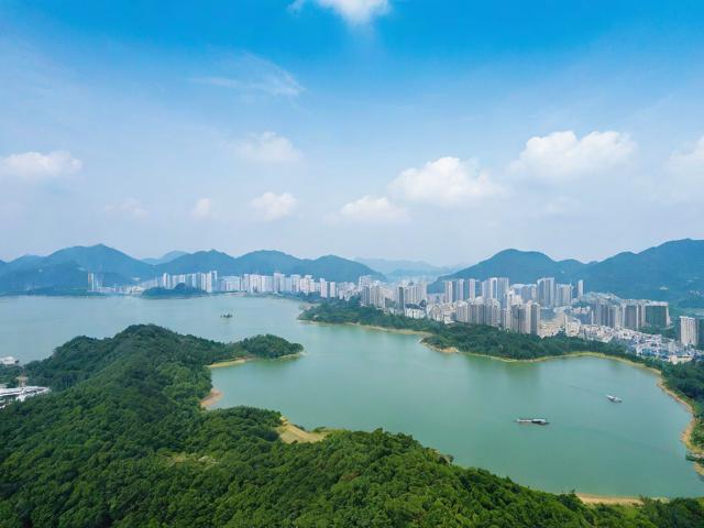 坪山网站排名优化价格解析，性价比之选，助力企业互联网营销