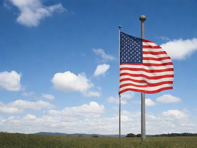 深度解析，美国网站排名查询网站全攻略，助你一网打尽行业信息！