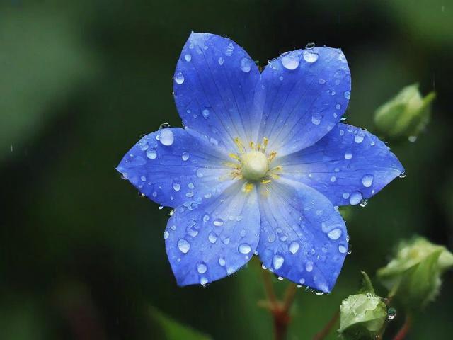 雨花区网站维护招聘信息—你还在等什么？