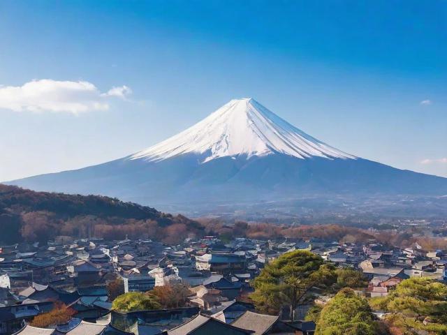 2023年各大日本网站排名解析，揭秘日本网络世界的流量密码