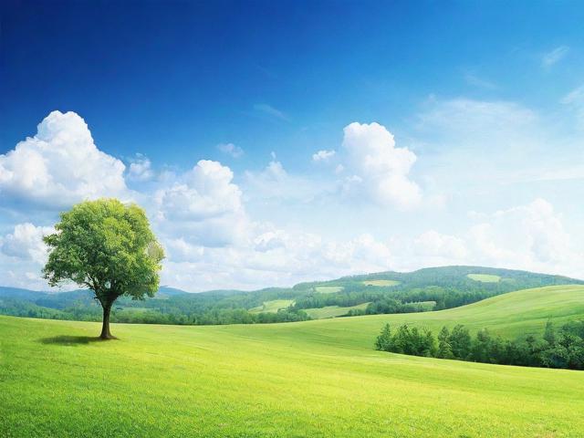 揭秘非著名购物网站排名，那些被忽视的购物天堂