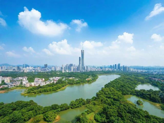 揭阳网站快速排名攻略，如何让你的网站在搜索引擎中脱颖而出