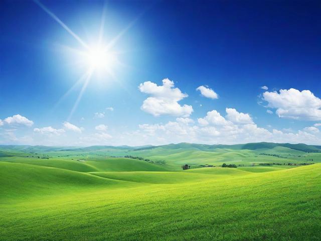 张家口金属加工网站排名，揭秘行业领先者的网络影响力