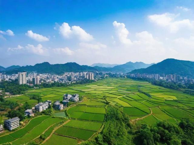 赣州本土网站排名，揭秘赣州网络市场的发展现状与趋势