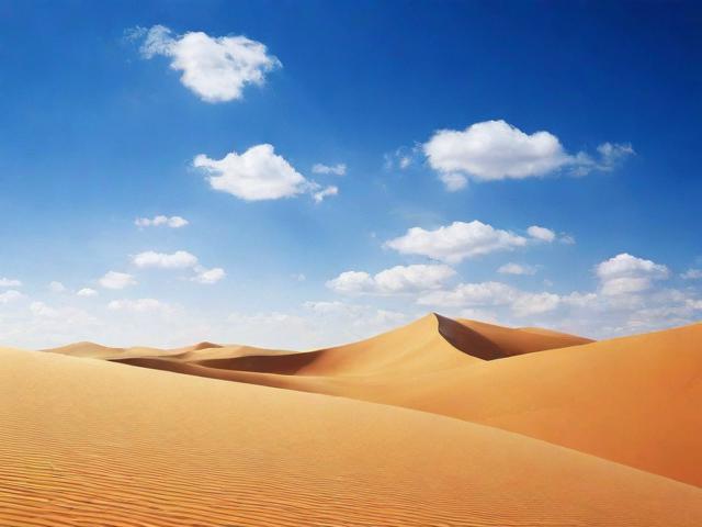 网友最值得收藏网站排名，盘点那些你绝对不能错过的网站！