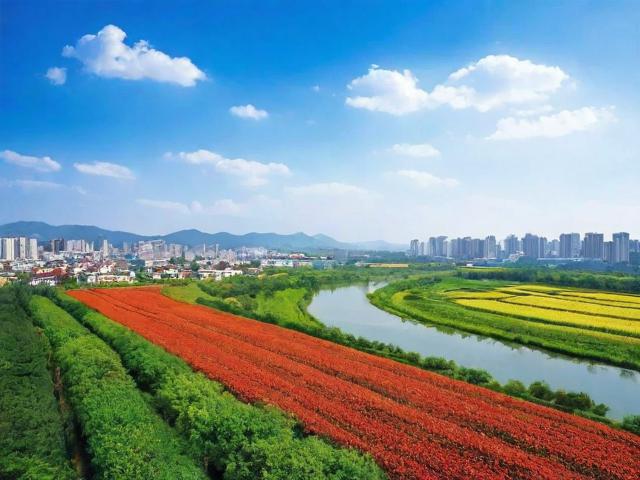 晋源区名优网站排名，揭秘本地优质网站的魅力与价值