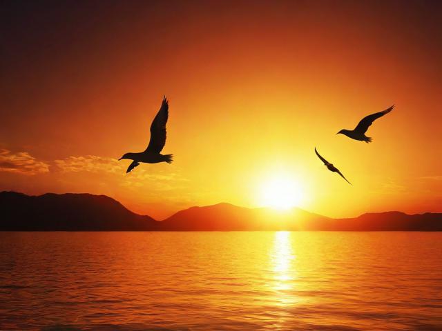 免费算命最好的网站排名，揭秘网上命理咨询的宝藏之地