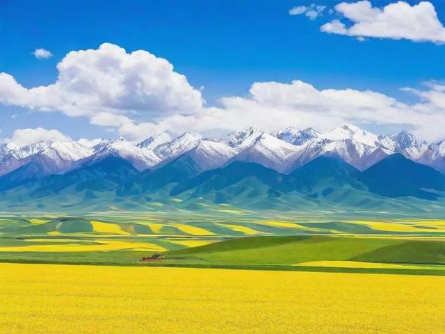 青海省网站排名优化工具，助力企业在线崛起的秘密武器