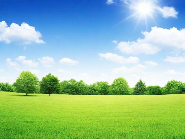 网站流量草根_网站流量啥意思