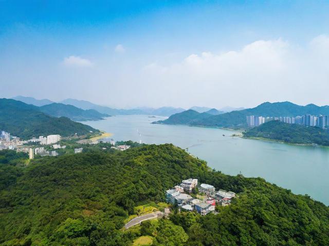 坪山网站优化企业排名，揭秘如何提升您的网站在搜索引擎中的竞争力