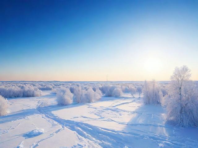 黑龙江网站优化排名费用解析，投资与回报的平衡之道