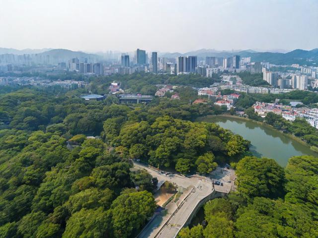 岳麓区网站建设维护服务的探索与实践