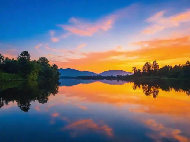 诗词定制网站排名，品味诗意生活，选择专业平台