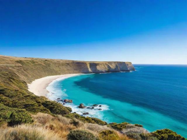 2023年度海外小说网站用户排名揭晓，谁主沉浮？