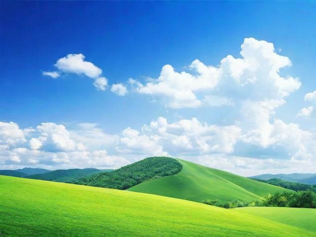 中国管理传播网站排名，盘点最具影响力的十大平台