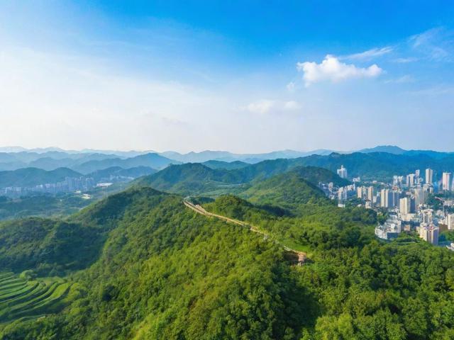 江西优化网站排名，助力企业提升在线影响力，抢占网络市场先机