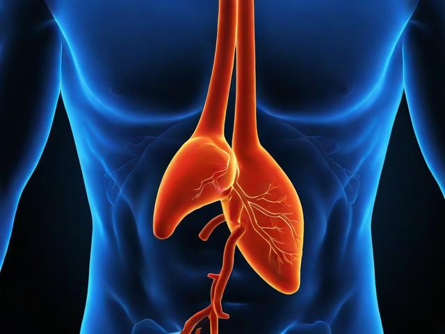 世界高血压杂志网站排名，权威发布，引领心血管领域信息风向标