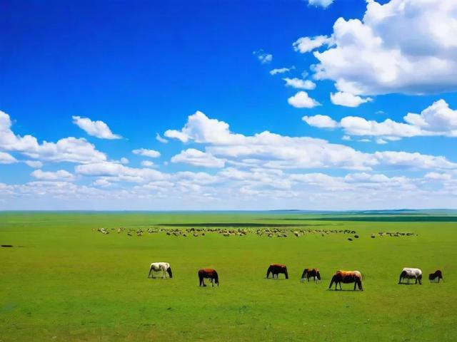 内蒙古短视频网站排名，洞察草原风情的流量高地