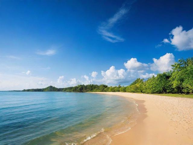 微博维护网站的要点与技巧