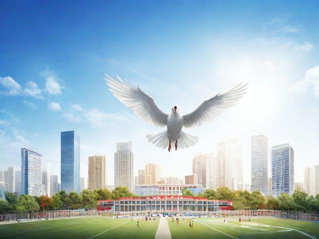 竞赛排名网站，助力学子展翅翱翔的翅膀