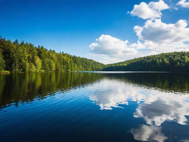 湖里网站排名优化，全方位策略提升网站在搜索引擎中的 visibility