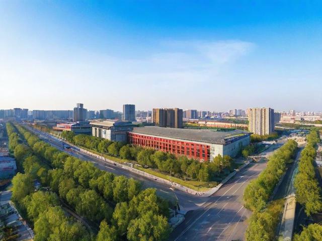 河北网站推广排名，品质与实力的双重保障