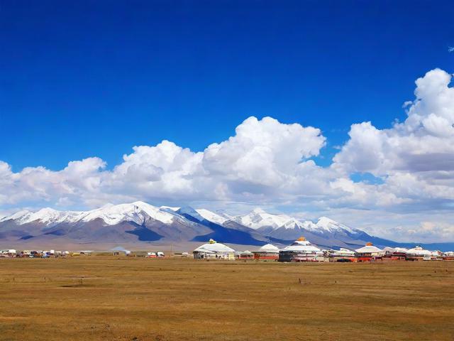 蒙文报刊网站排名，揭示蒙古文媒体网络影响力新格局