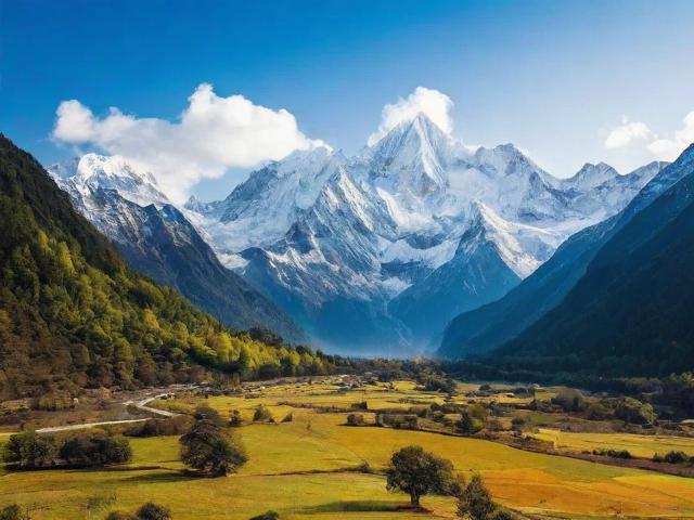 四川关键词排名网站查询，揭秘高效SEO优化策略