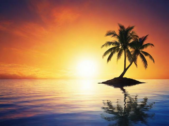 免费算命网站大全排名，揭秘网络算命界的秘密花园