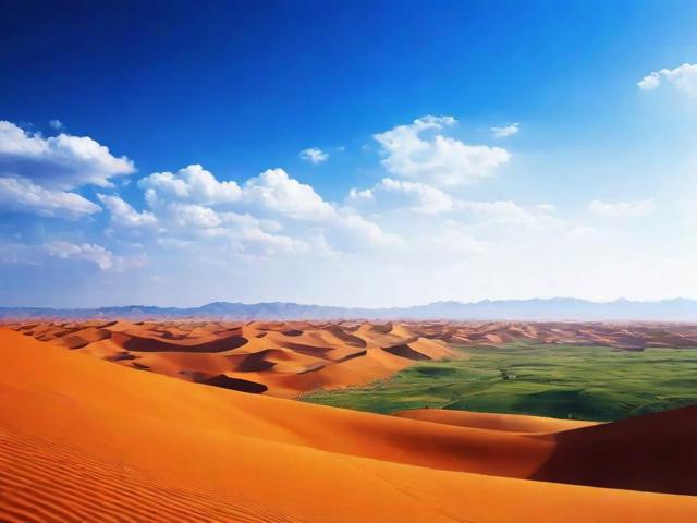 甘肃网站建设公司排名，揭秘本土优质服务商，助力企业网络腾飞