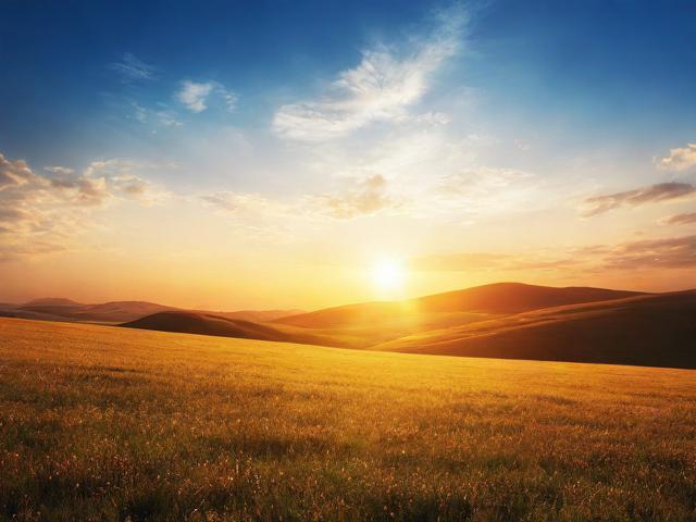 图片翻译网站排名，助您轻松跨越语言障碍