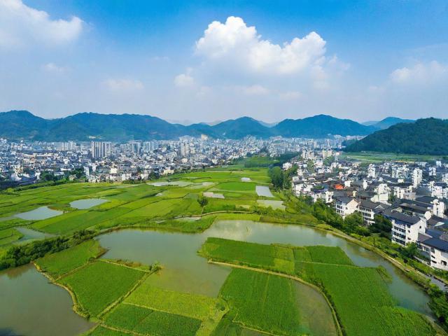 怀宁网站排名费用解析，如何以最优惠的价格获得最佳排名