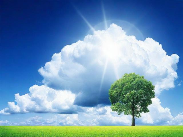 全国捐赠网站排名，公益慈善事业的晴雨表