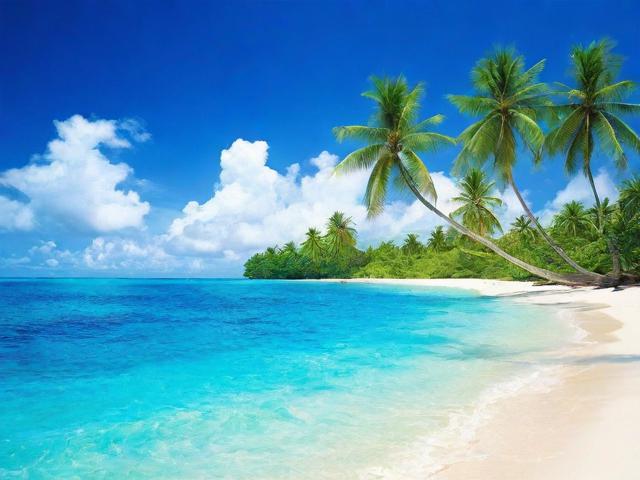 海南企业宣传网站排名，揭秘提升企业网络影响力的秘密武器