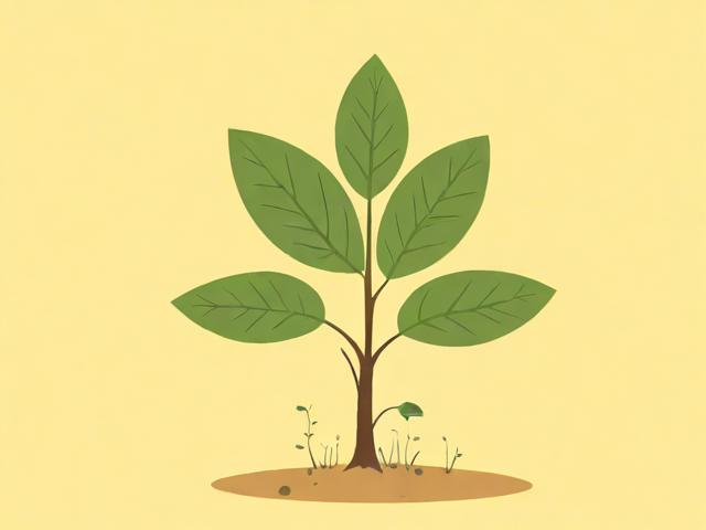 植物学插画网站排名，探索自然之美，发现创意天堂