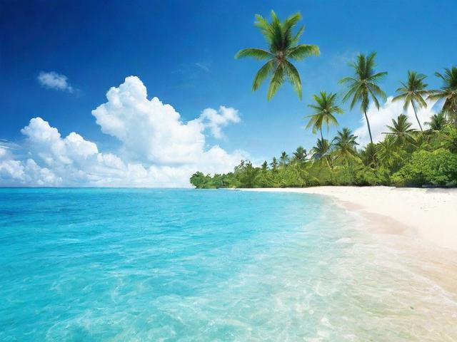 2023年海南省网站制作公司排名一览，为您打造专业网站服务