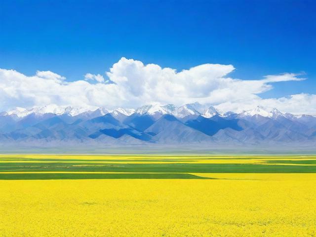 青海正规的网站优化排名，揭秘提升网站流量的秘诀